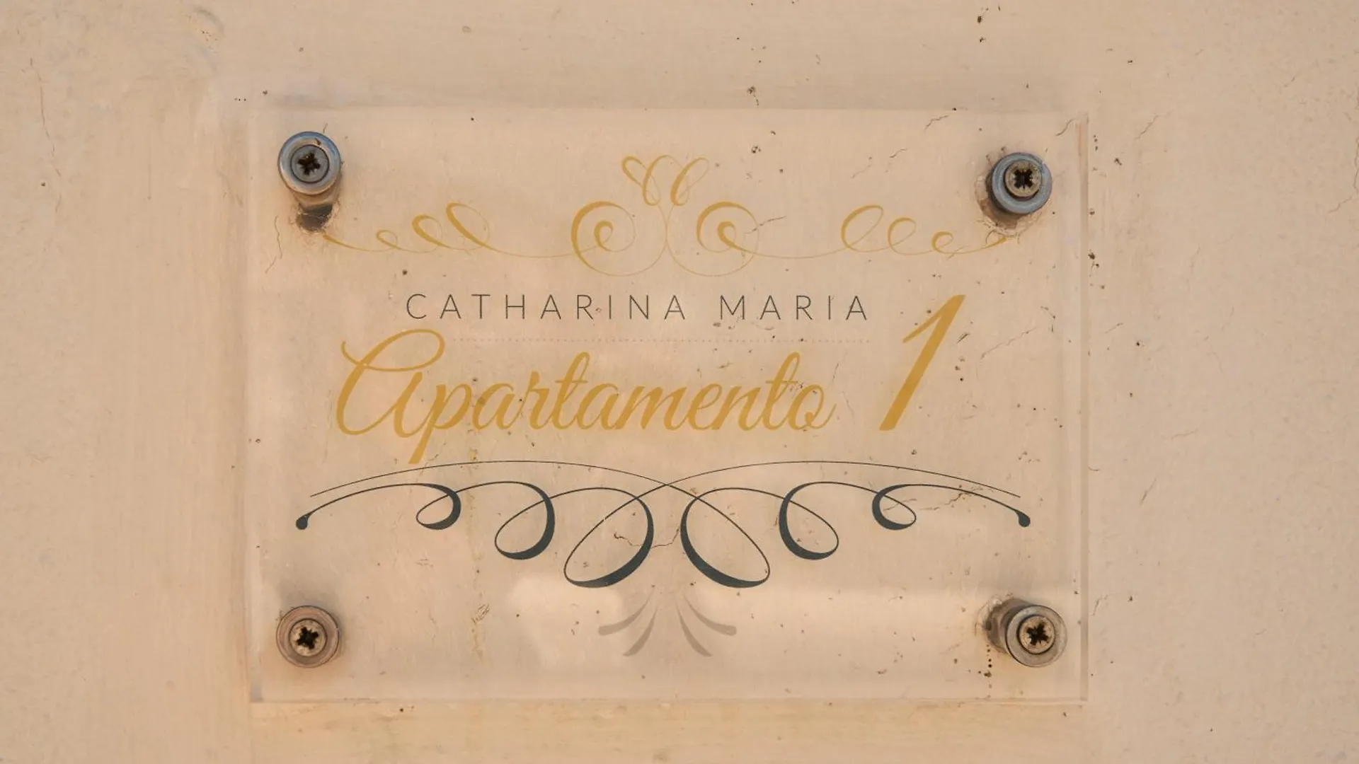 Studio 1
